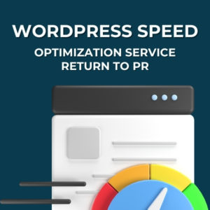 WordPress Speed Optimization Service