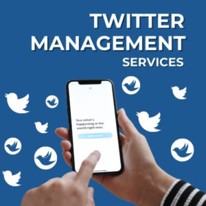 Twitter Monthly Management Service