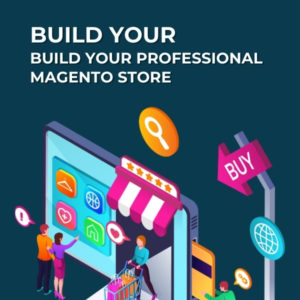 Build your professional Magento store