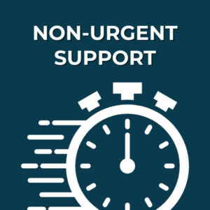 On-Demand Server Support (Non Urgent)