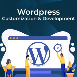 Expert WordPress Customization & Development