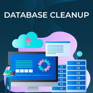 Database Cleanup