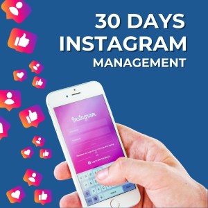 30 Days Instagram Management