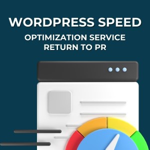WordPress Speed Optimization Service