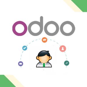 Odoo Functional Consultant