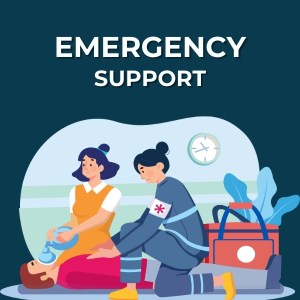 Rapid Response Support (Per Ticket)