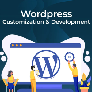 Expert WordPress Customization & Development