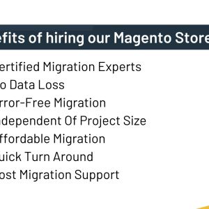 Magento Migration Service - Image 3