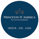 NS-Global-Corporation-princetonitamerica_logo-1